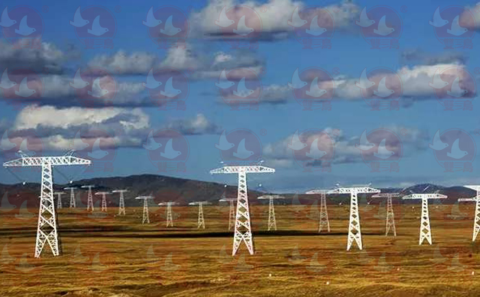 電力行業(yè)使用雙鳥電動葫蘆